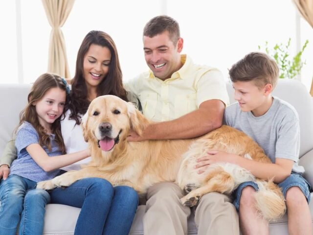 Whole Family Dentist in Mill Valley | Spring Cleaning for Families